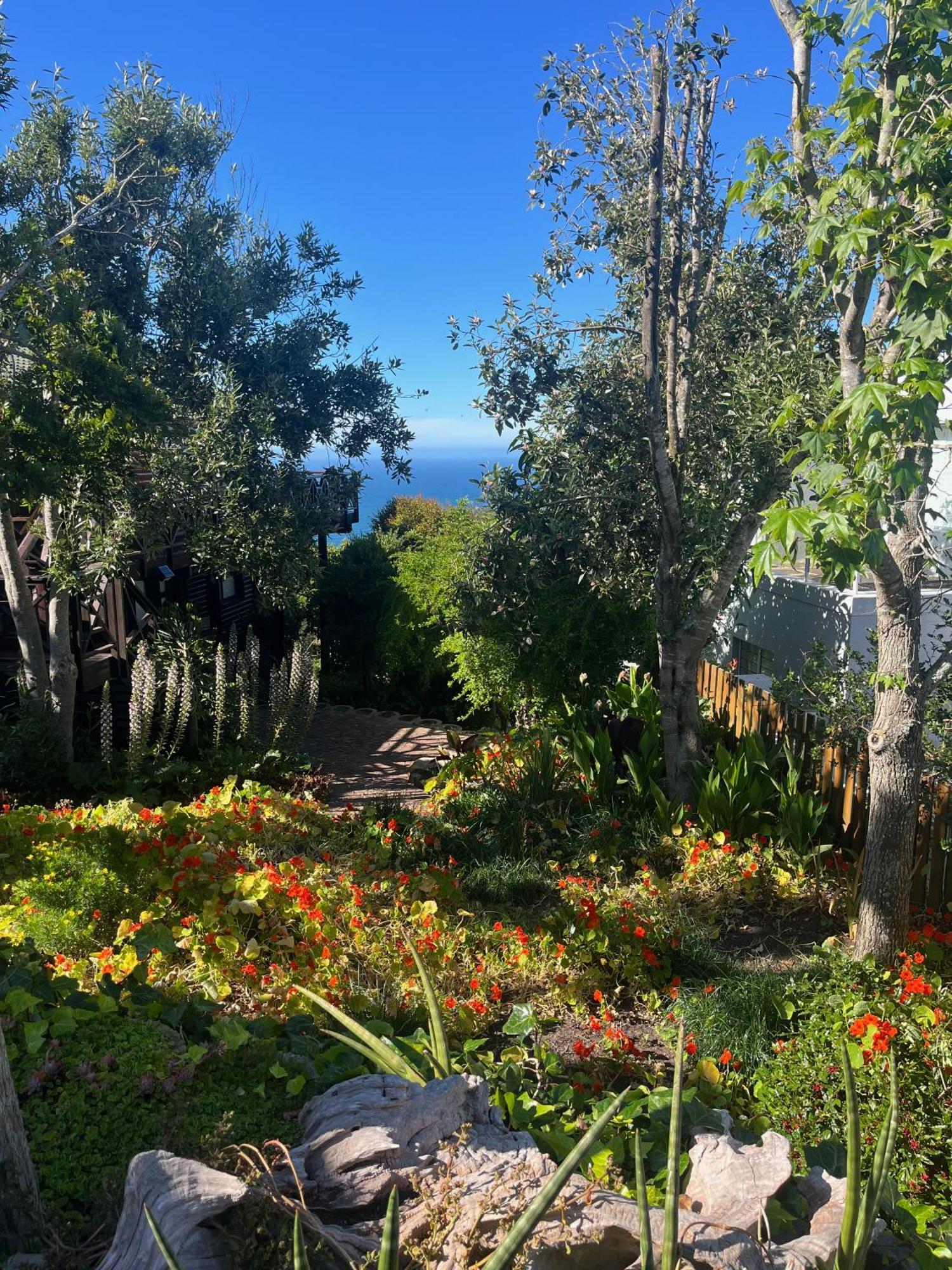 Peaceful Guest Suite With Balcony Views And Garden Setting Brenton-on-Sea Ngoại thất bức ảnh