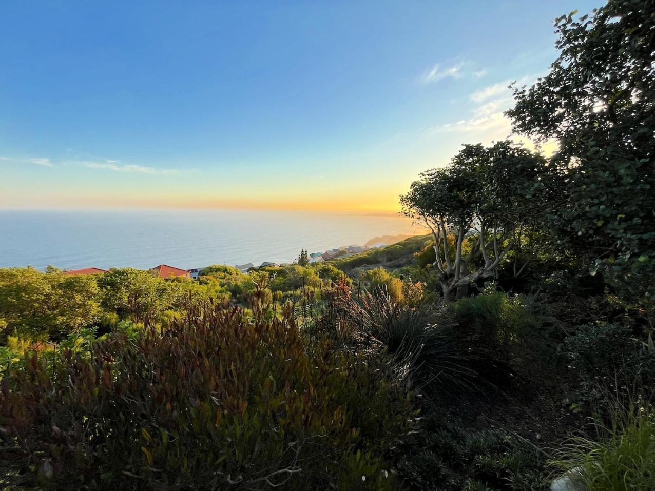 Peaceful Guest Suite With Balcony Views And Garden Setting Brenton-on-Sea Ngoại thất bức ảnh